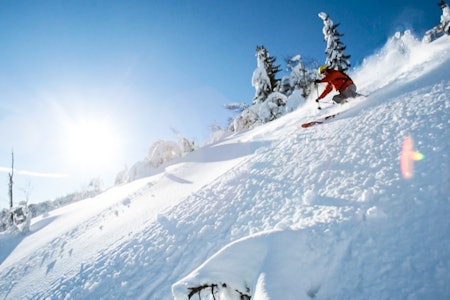 RACER-GEIR: Hvis Geir Bottolfs noen gang skulle få anledning til å stikke fra illsinte tyskere etter en eventuell sabotasjehandling mot et tungtvannsanlegg, er vi ganske sikre på at han vil ristet de greit av seg gjennom krattskogen han snart er i ferd med å entre. Foto: Christian Nerdrum Norefjell guide skisenter pudder