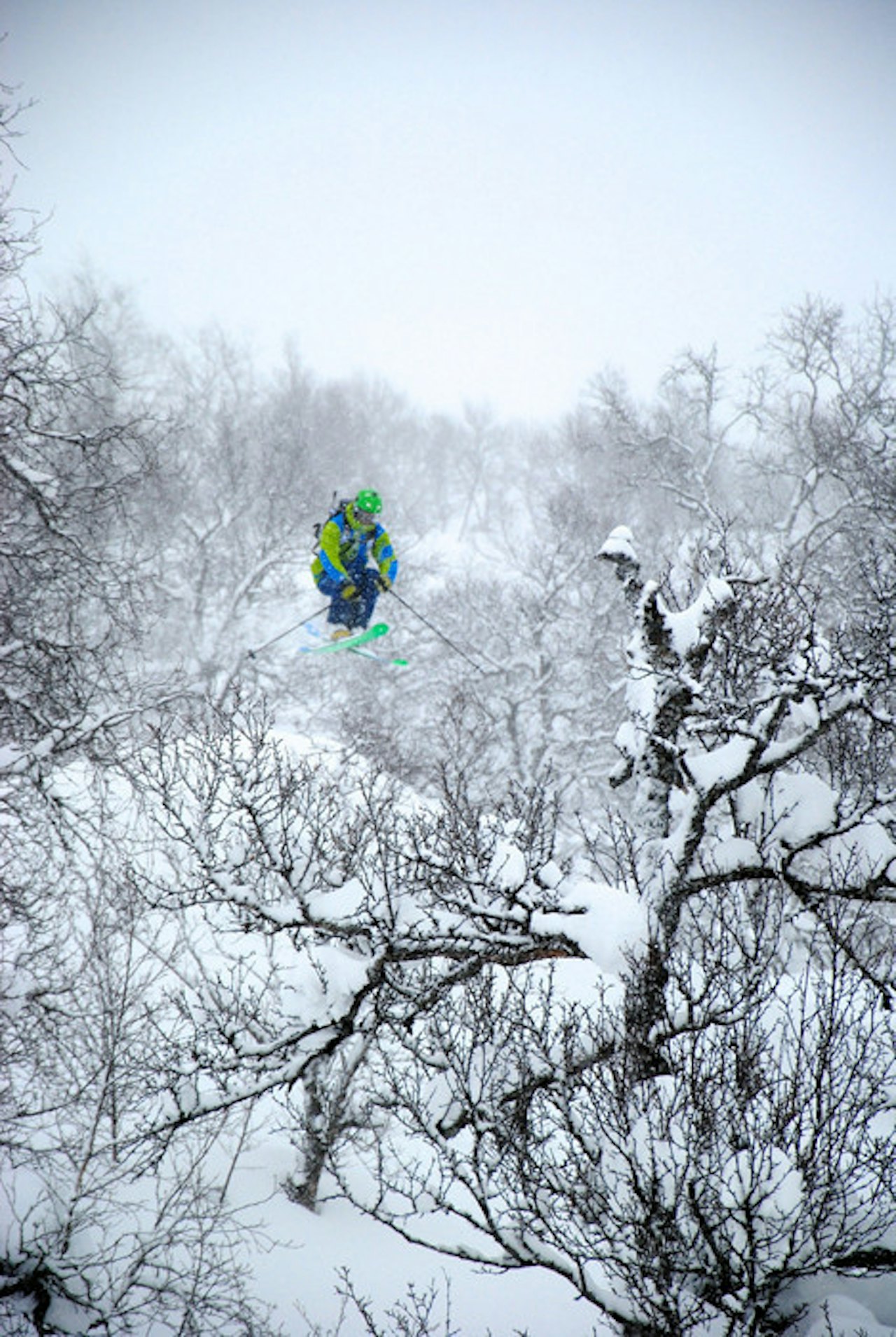 VINNERBILDE: Martin Fykse i aksjon i skogen på Haukeli. Foto: Jørn Erik Toppe VINNERBILDE: Martin Fykse i aksjon i skogen på Haukeli. Foto: Jørn Erik Toppe