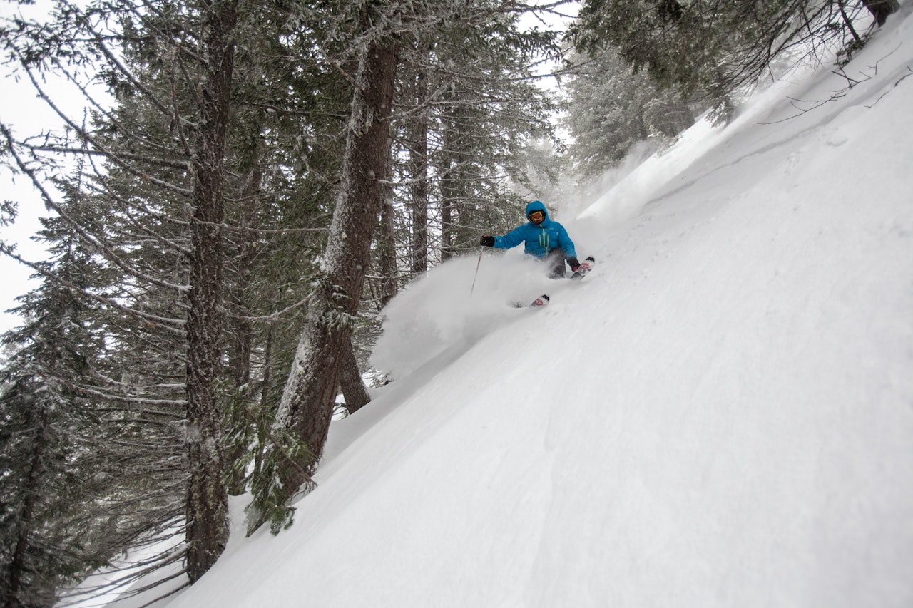 KJENTMANN: Bård Gundersen har vært her tre ganger tidligere og vet godt hva Fernie har å by på. De fem legendariske grytene, den fantastiske snøen og den bratte, oversiktlige skogskjøringen er gode nok grunner til det. Bilde: Christian Nerdrum KJENTMANN: Bård Gundersen har vært her tre ganger tidligere og vet godt hva Fernie har å by på. De fem legendariske grytene, den fantastiske snøen og den bratte, oversiktlige skogskjøringen er gode nok grunner til det. Bilde: Christian Nerdrum