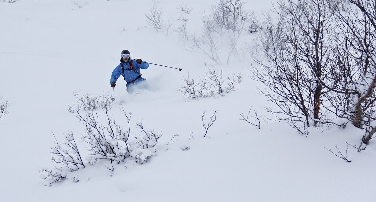 Foto: Jørgen Dølvik Hubyn Foto: Jørgen Dølvik Hubyn