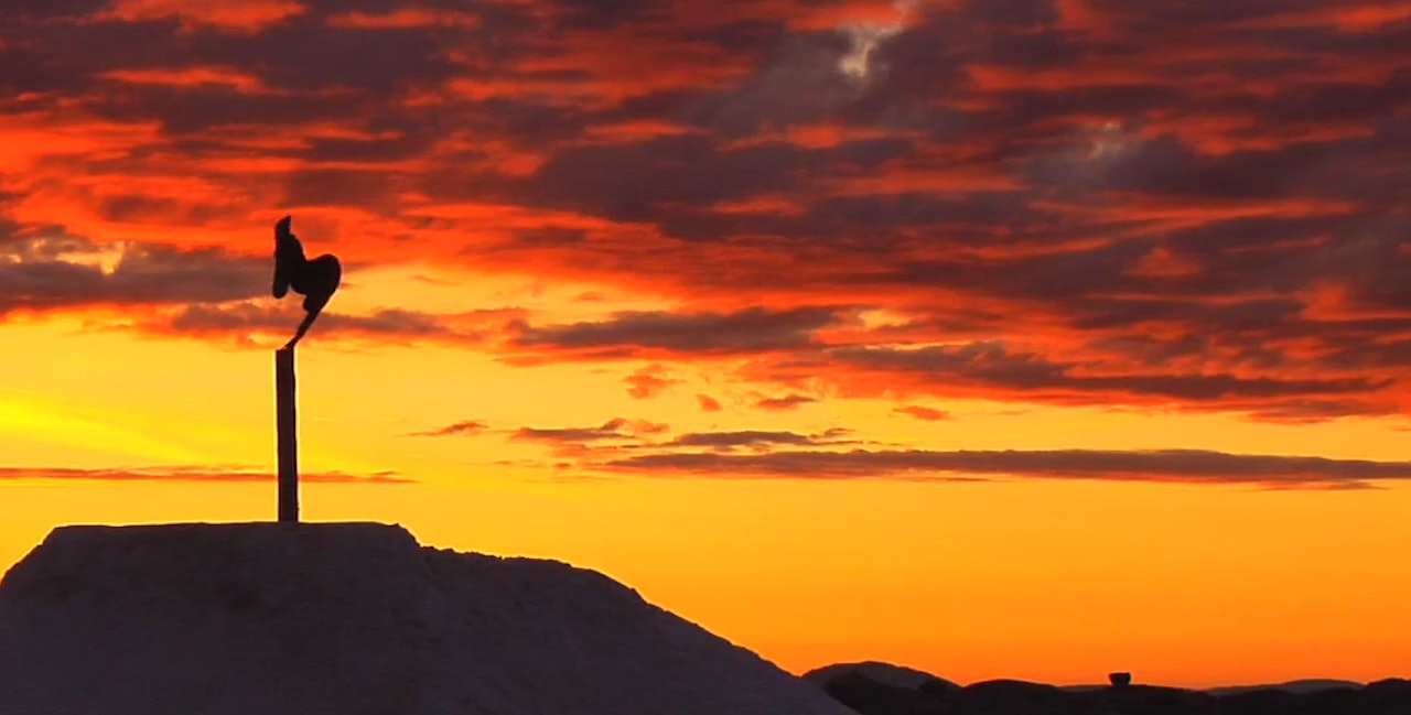 PREMIERE: ‹‹Vacation›› har premiere i USA neste uke. PREMIERE: ‹‹Vacation›› har premiere i USA neste uke.