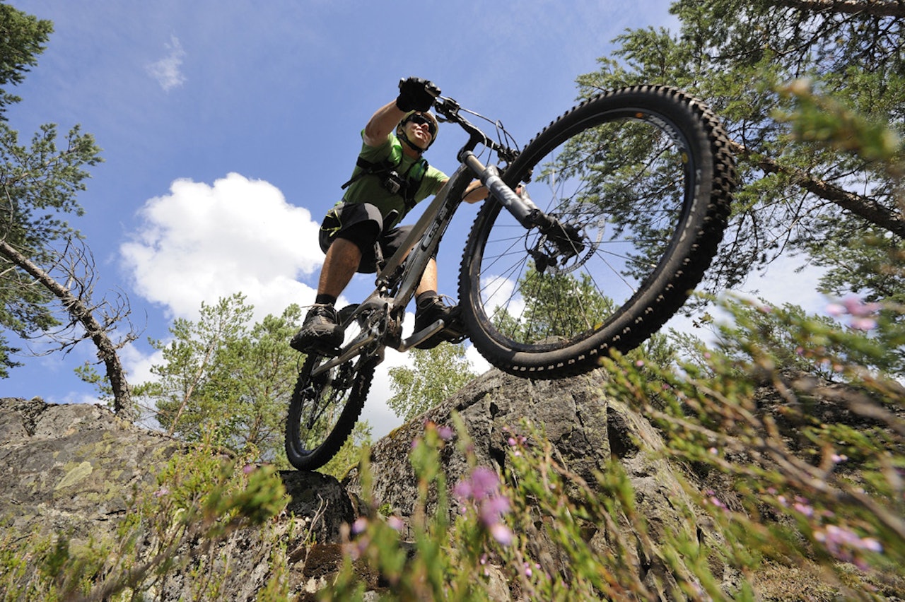 DRØMMESTIER: Stinettet rundt Kongsberg er rett og slett strålende! Foto: Endre Løvaas DRØMMESTIER: Stinettet rundt Kongsberg er rett og slett strålende! Foto: Endre Løvaas