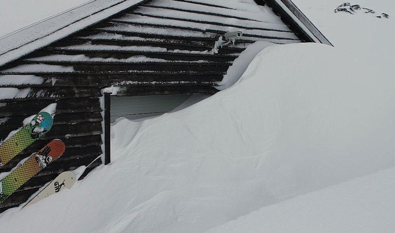 HVITEVARER: Bra med snø på Fonna! Foto: Tom Erik Finnerud