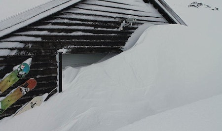 HVITEVARER: Bra med snø på Fonna! Foto: Tom Erik Finnerud