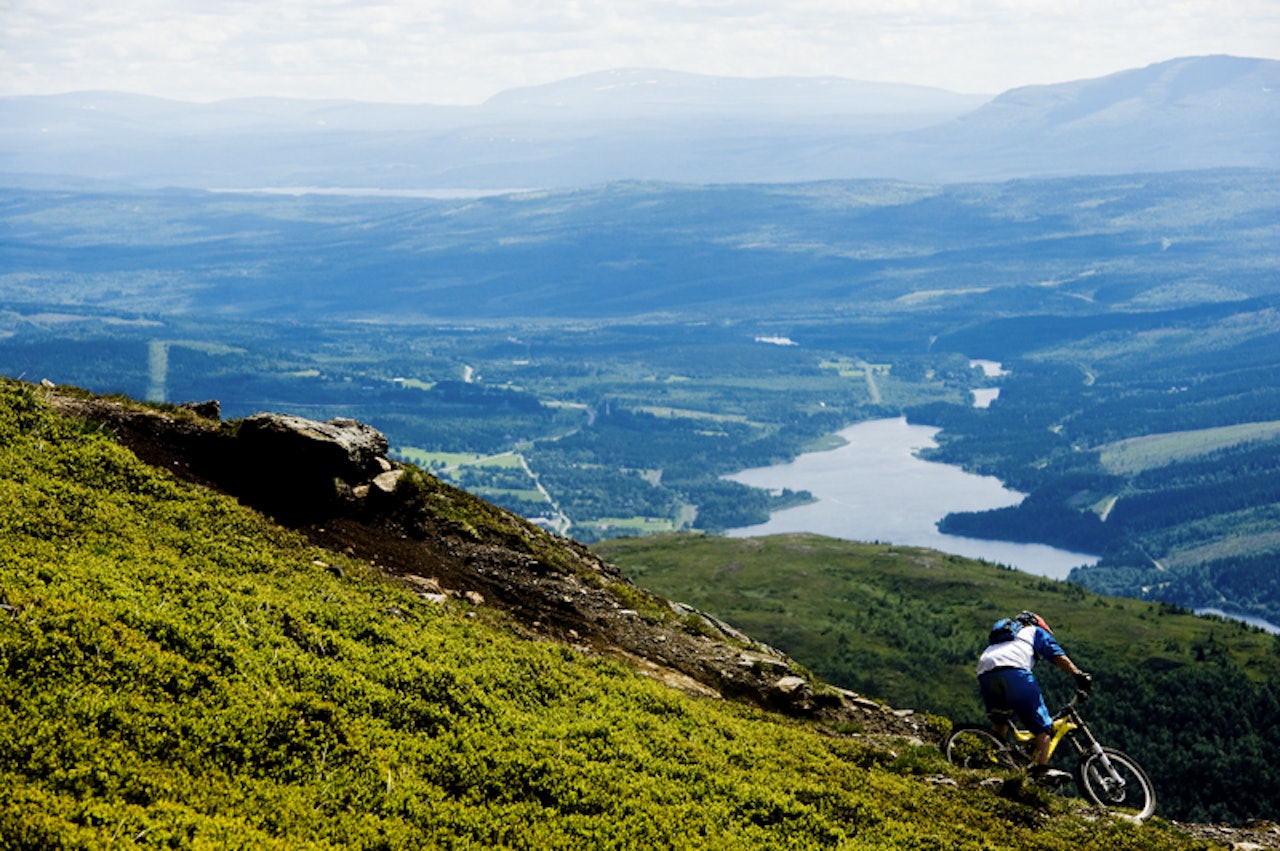 FET SYKLING: Åre Bike Park har kilometervis med nydelig singletrack og noen makeløse maskinbygde sykkelløyper. Foto: Mattias Fredriksson. FET SYKLING: Åre Bike Park har kilometervis med nydelig singletrack og noen makeløse maskinbygde sykkelløyper. Foto: Mattias Fredriksson.