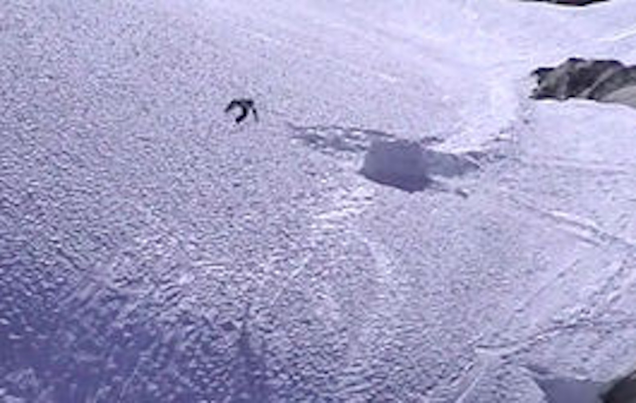 BONUS: Snowboard var et av bonussegmentene på dvd´en First Price. BONUS: Snowboard var et av bonussegmentene på dvd´en First Price.