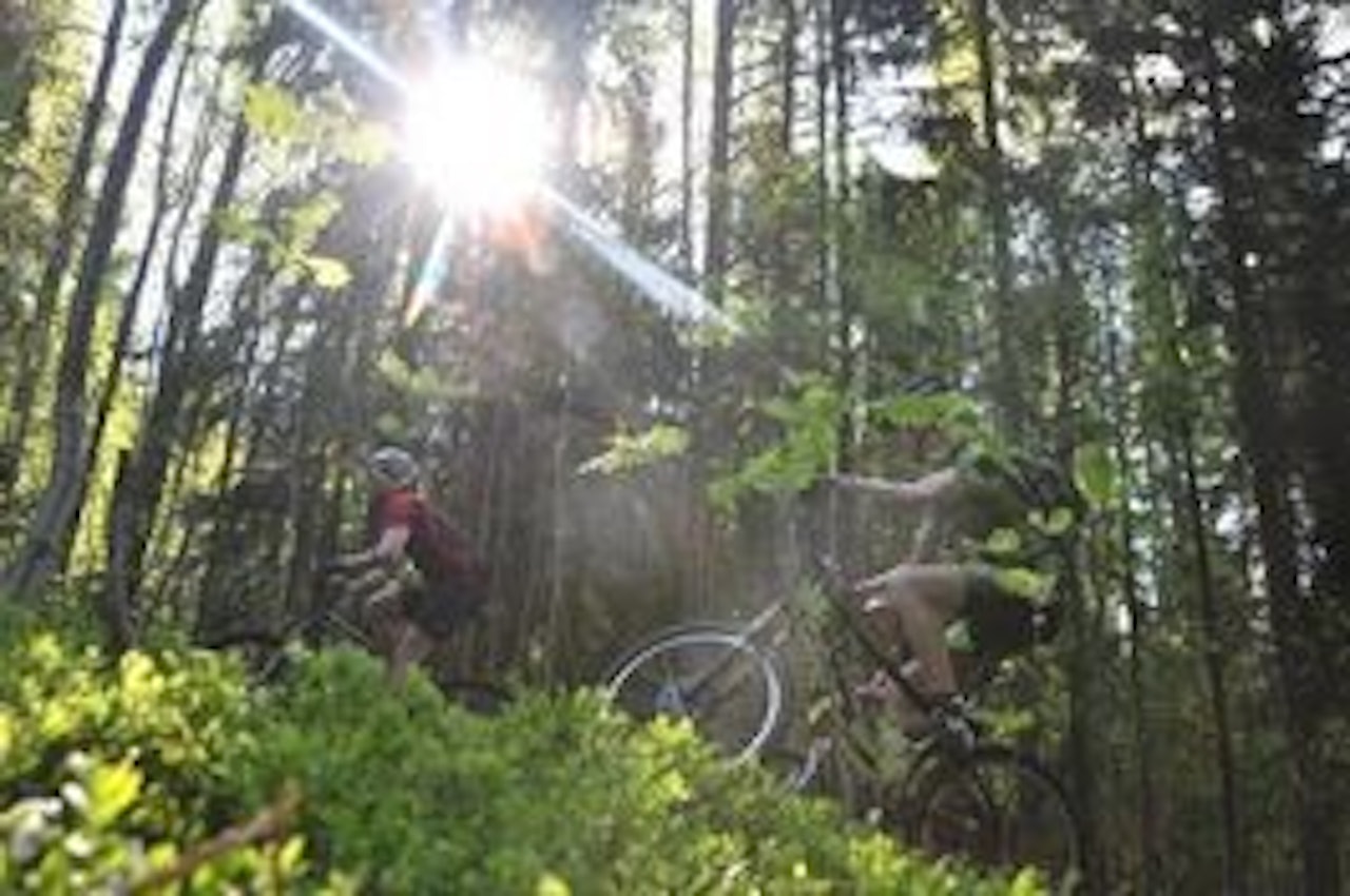 KULT TERRENG: Mye fine stier og fete sykler å prøve på Haraløkka. KULT TERRENG: Mye fine stier og fete sykler å prøve på Haraløkka.