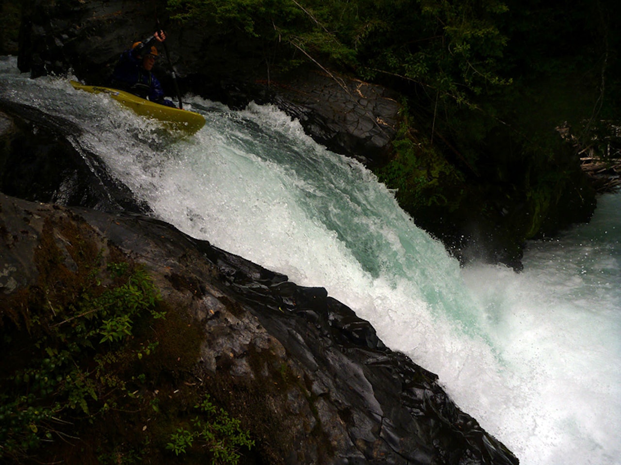 BRYTER SEG PÅ: Erika Sprunck ser ikke svart på å få vann i nesa. Foto: Nini Bondhus BRYTER SEG PÅ: Erika Sprunck ser ikke svart på å få vann i nesa. Foto: Nini Bondhus