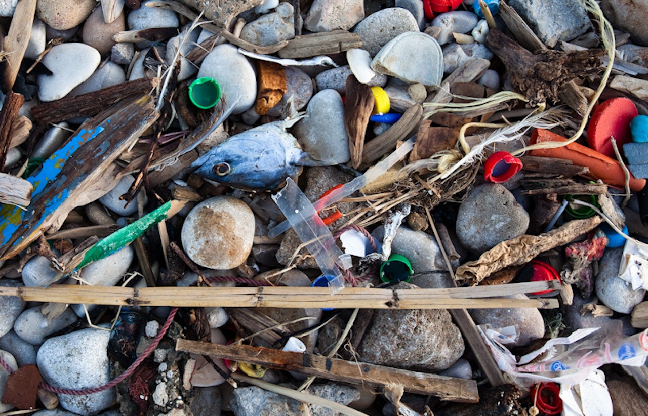 TA ET TAK: Hver dag havner voldsomme mengder søppel i havet og på strendene våre. Hva tror du skjer med den marine forsøplingen som ingen gjør noe med? Blir den borte av seg selv? Bilde: Christian Nerdrum TA ET TAK: Hver dag havner voldsomme mengder søppel i havet og på strendene våre. Hva tror du skjer med den marine forsøplingen som ingen gjør noe med? Blir den borte av seg selv? Bilde: Christian Nerdrum
