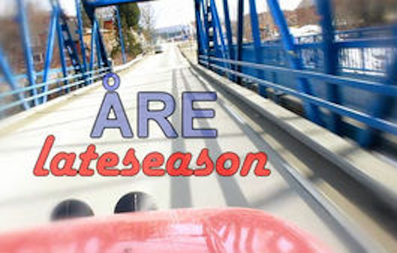 ÅRE SÅ GÅRE: Mo i Rana-kara dro på harrytur for å kjøre park. ÅRE SÅ GÅRE: Mo i Rana-kara dro på harrytur for å kjøre park.