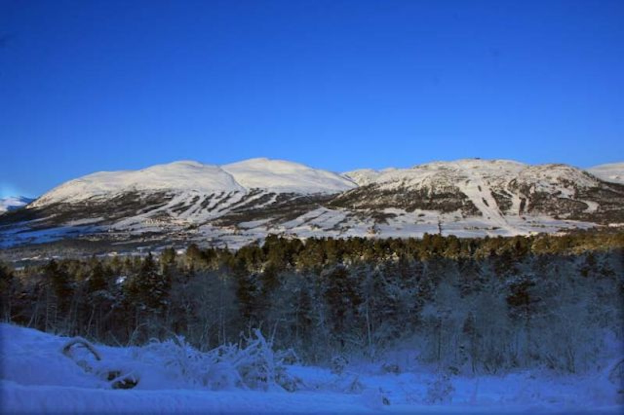 100%: Wenaasgruppen har kjøpt opp 100 % av aksjene til Oppdal skisenter, og det kan se ut som det går mot lysere tider i bygda. Foto: Oppdal.com 100%: Wenaasgruppen har kjøpt opp 100 % av aksjene til Oppdal skisenter, og det kan se ut som det går mot lysere tider i bygda. Foto: Oppdal.com