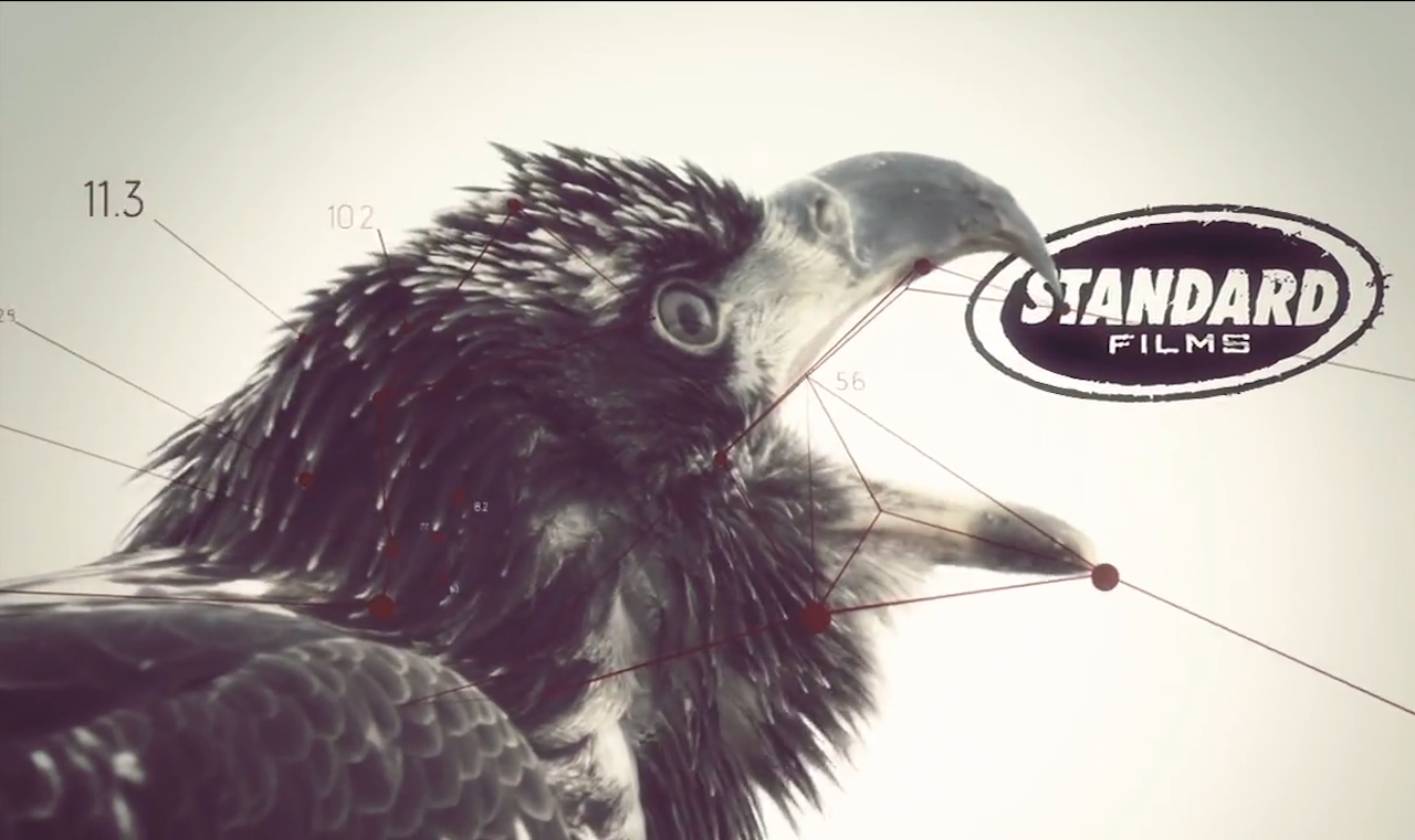 JUBILEUM: Årets Standard-film er den 20. i rekken. JUBILEUM: Årets Standard-film er den 20. i rekken.