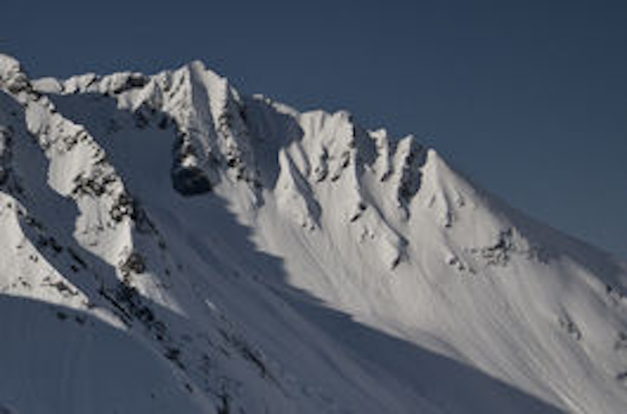 SAUDEHORNET: Dette er et alternativ til konkurranseside for Xfree. Foto: Eirik Vaage. SAUDEHORNET: Dette er et alternativ til konkurranseside for Xfree. Foto: Eirik Vaage.