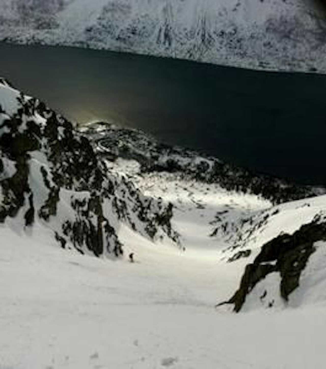 Renna på Sultinden. Foto: Aksel Hauge Renna på Sultinden. Foto: Aksel Hauge