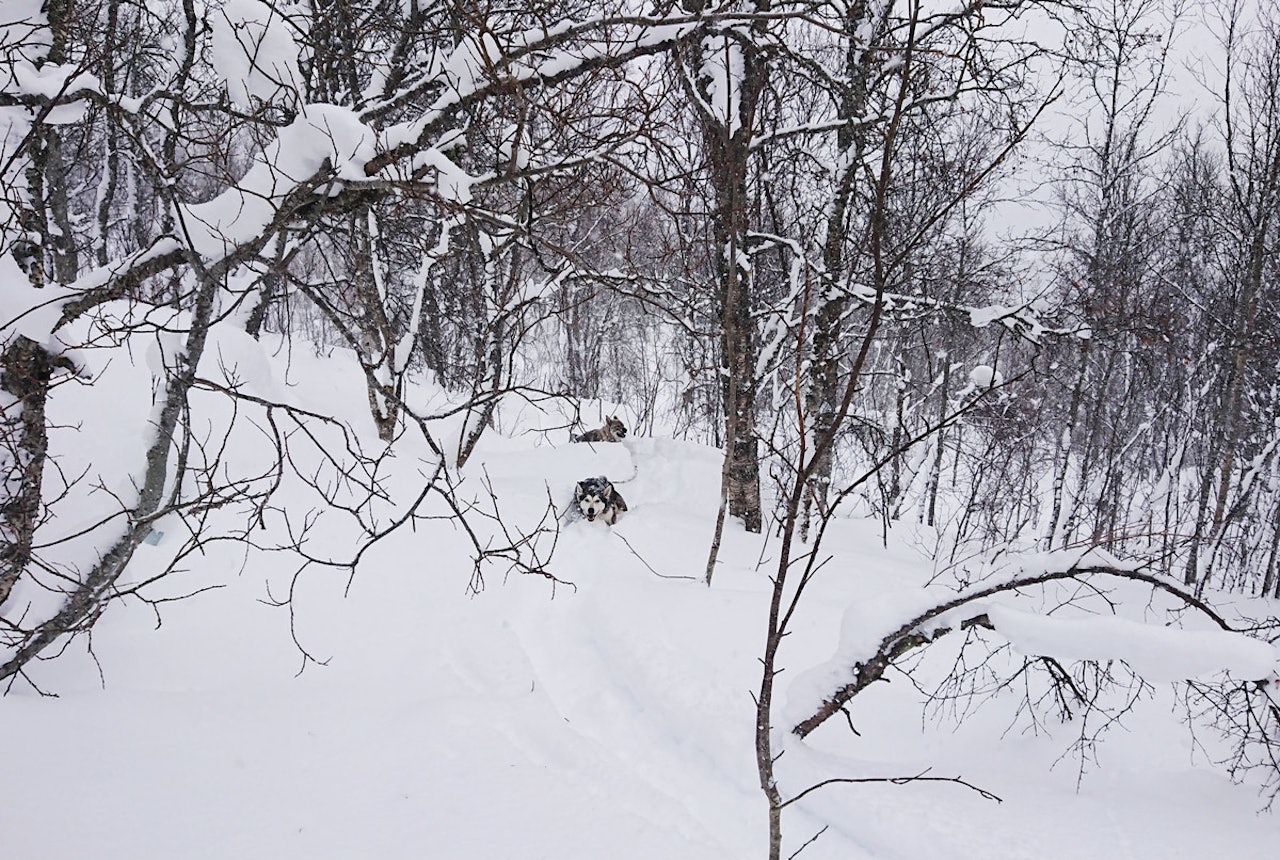 LIKE FØR Dette bildet ble tatt få minutter før fotografen ble skadet i snøskred. Foto: Lasse Vanebo