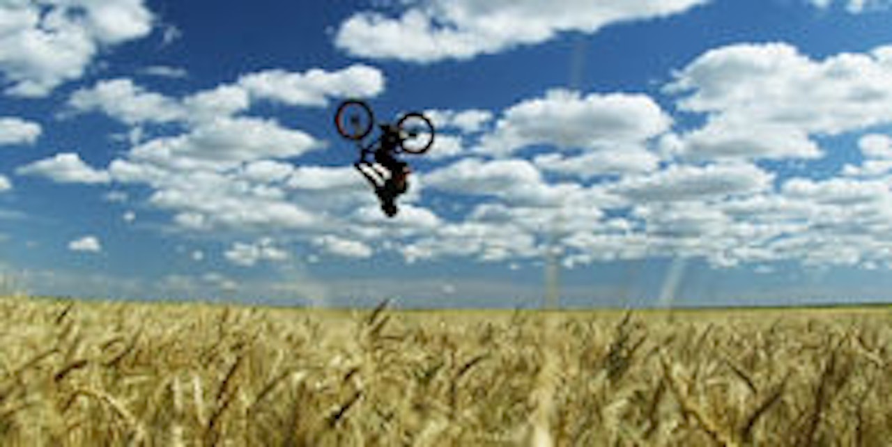 STORSLÅTT: Life Cycles ser svært lovende ut. STORSLÅTT: Life Cycles ser svært lovende ut.