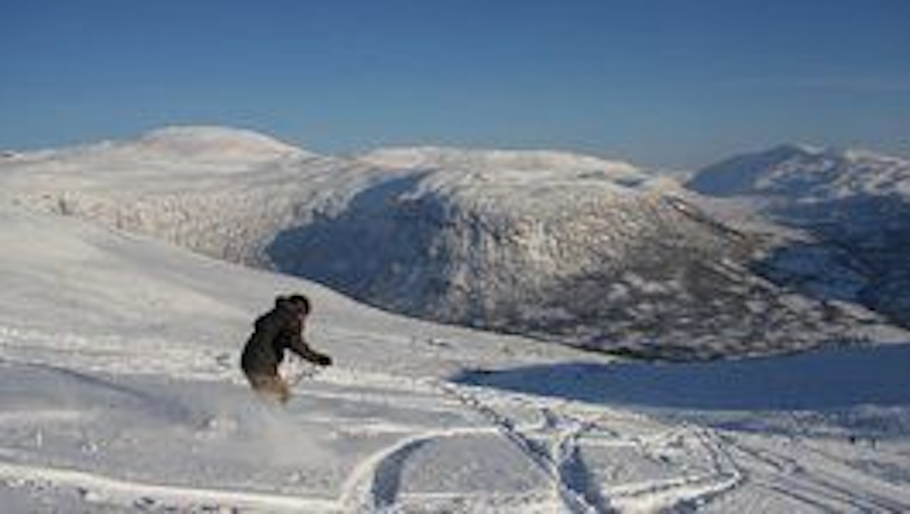 Foto: Jan Petter Svendal Foto: Jan Petter Svendal