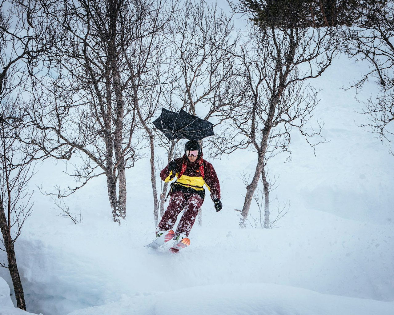STRANDAFJELLET: Fram med paraplyen, for her var det nedbør i helga! Foto: Håvard Dalen STRANDAFJELLET: Fram med paraplyen, for her var det nedbør i helga! Foto: Håvard Dalen