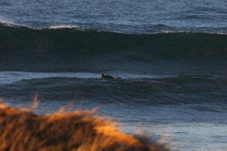 STORT: Det dundret inn med over hodehøye sett hele lørdag. Foto: Pål Rype STORT: Det dundret inn med over hodehøye sett hele lørdag. Foto: Pål Rype