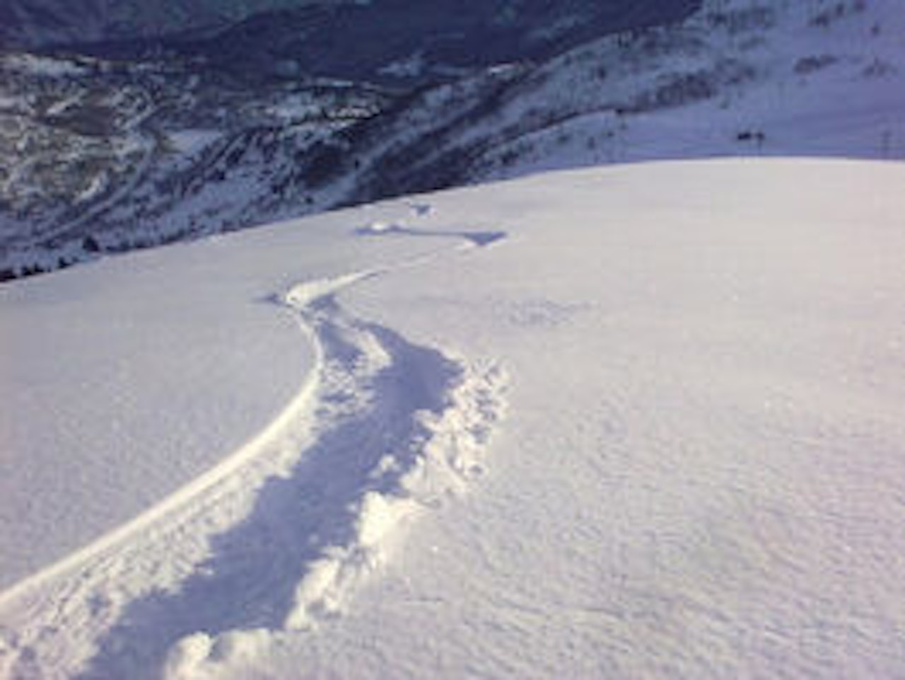 Foto: Tom Skrede Foto: Tom Skrede