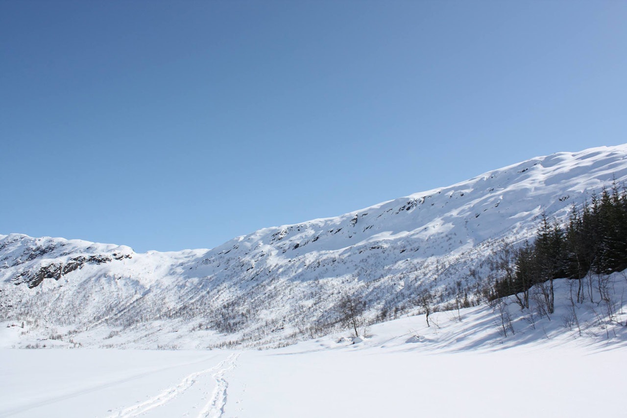 FET FACE: Mange muligheter og gode snøforhold i konkurransefacen i Angedalen. Foto: Olav Seljeseth FET FACE: Mange muligheter og gode snøforhold i konkurransefacen i Angedalen. Foto: Olav Seljeseth