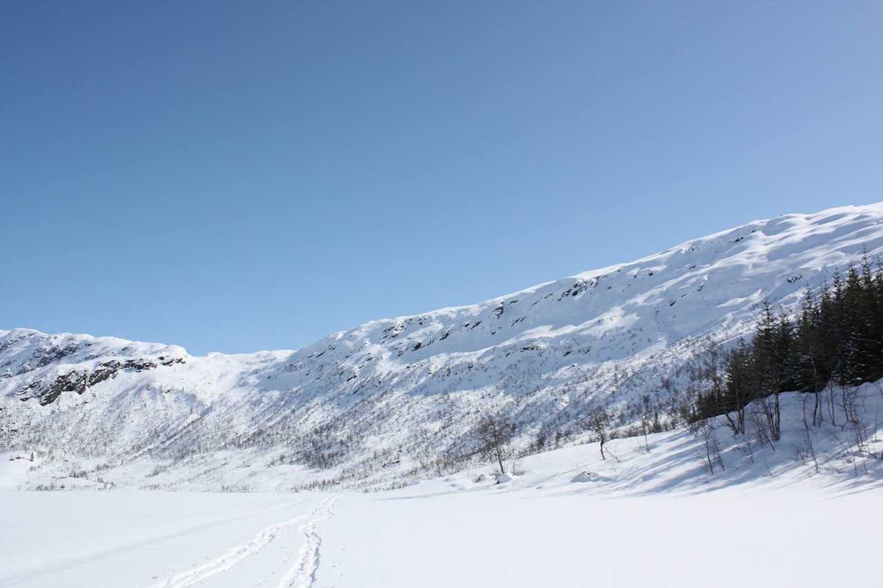 FET FACE: Mange muligheter og gode snøforhold i konkurransefacen i Angedalen. Foto: Olav Seljeseth