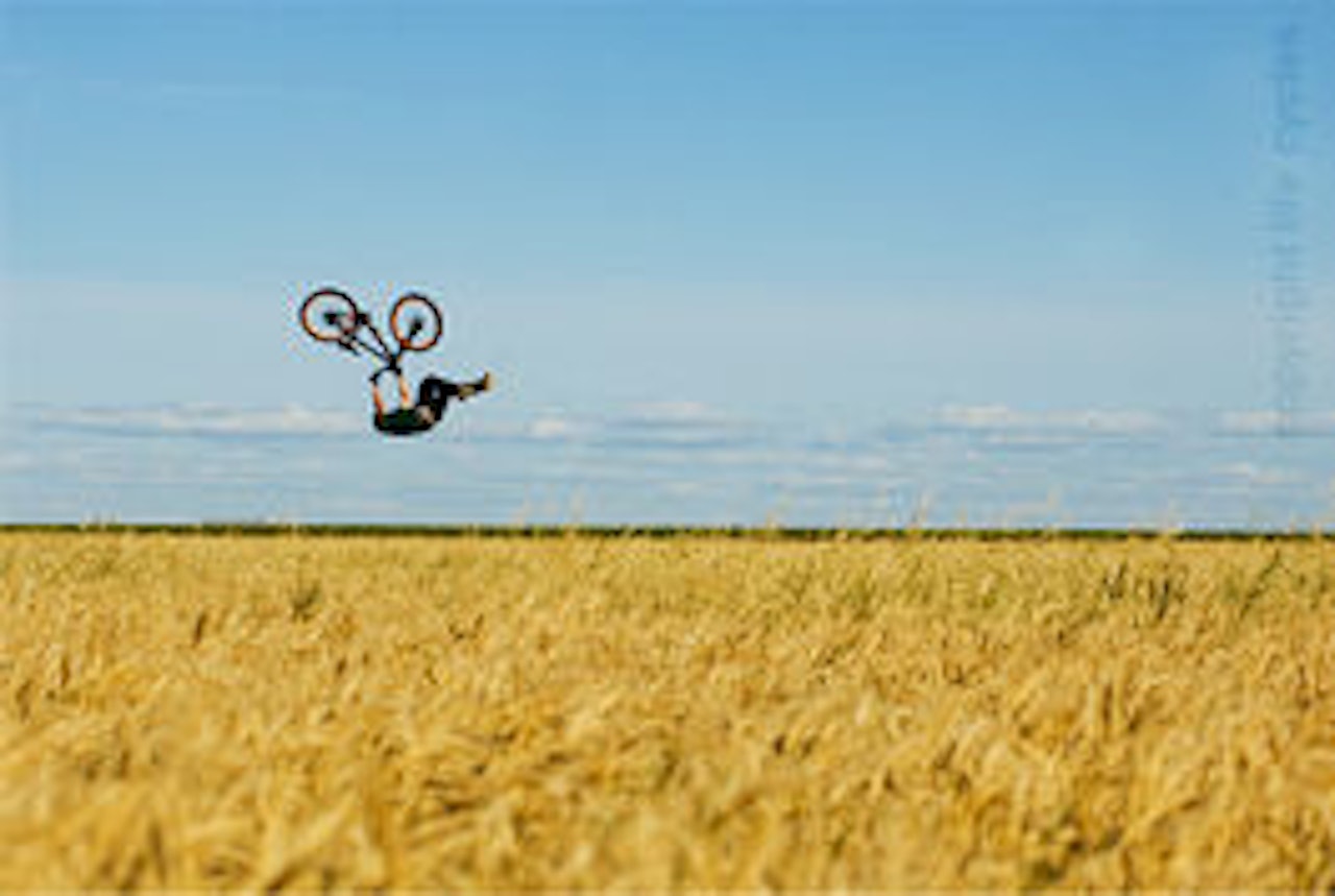 PREMIERE: Mandag ettermiddag har Life Cycles premiere på Parkteatret. PREMIERE: Mandag ettermiddag har Life Cycles premiere på Parkteatret.