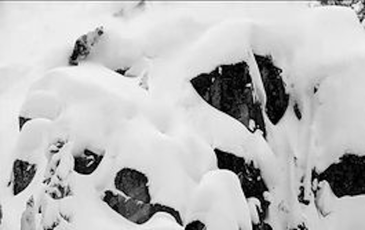 LETT Å LIKE: Baldface har tilgang til 145 kvadratkilometer med pudder. LETT Å LIKE: Baldface har tilgang til 145 kvadratkilometer med pudder.