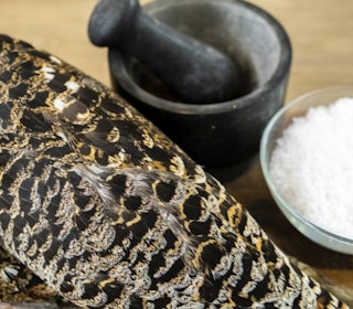 SPEKEMAT: Det går som en lek å speke fuglebryst om du følger vår guide. SPEKEMAT: Det går som en lek å speke fuglebryst om du følger vår guide.