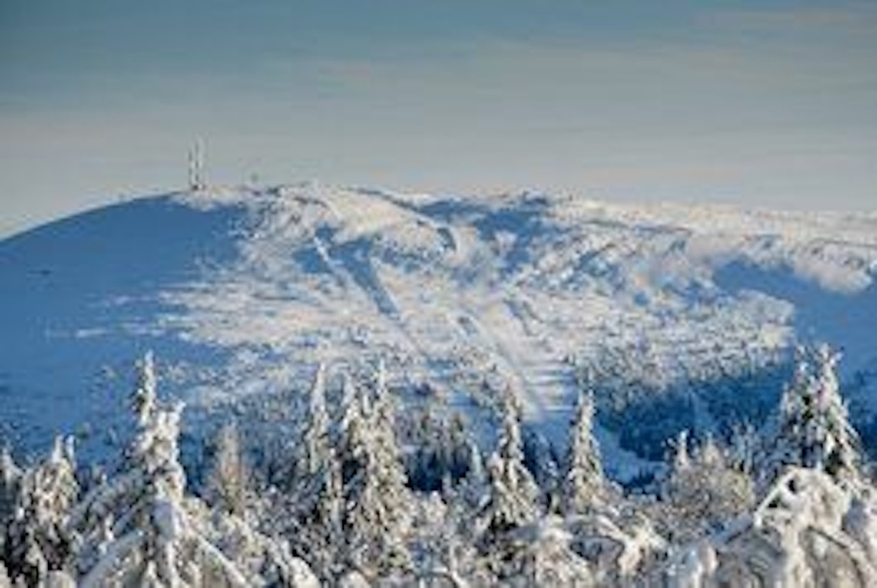 REKORDTIDLIG: "Mot normalt" i Fageråsen i Trysil. REKORDTIDLIG: "Mot normalt" i Fageråsen i Trysil.