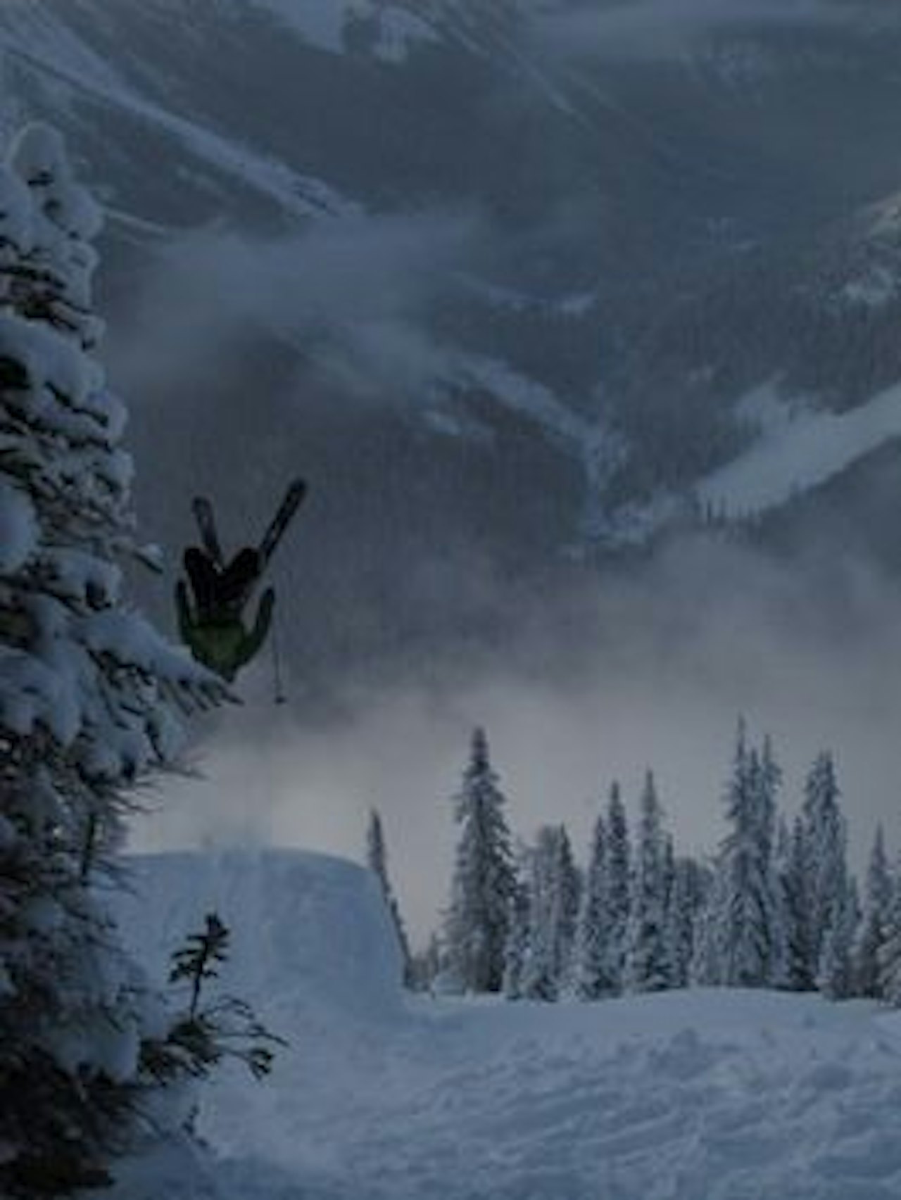 BACKERN: Asbjørn Eggebø Næss kaster seg rundt i kanadisk granskog. BACKERN: Asbjørn Eggebø Næss kaster seg rundt i kanadisk granskog.