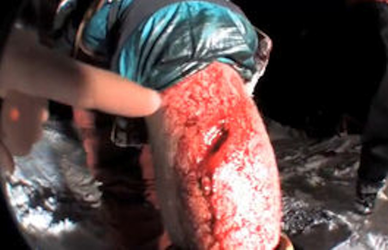 Vi advarer sårte sjeler om sterke scener i ukens vinnerfilm. Vi advarer sårte sjeler om sterke scener i ukens vinnerfilm.