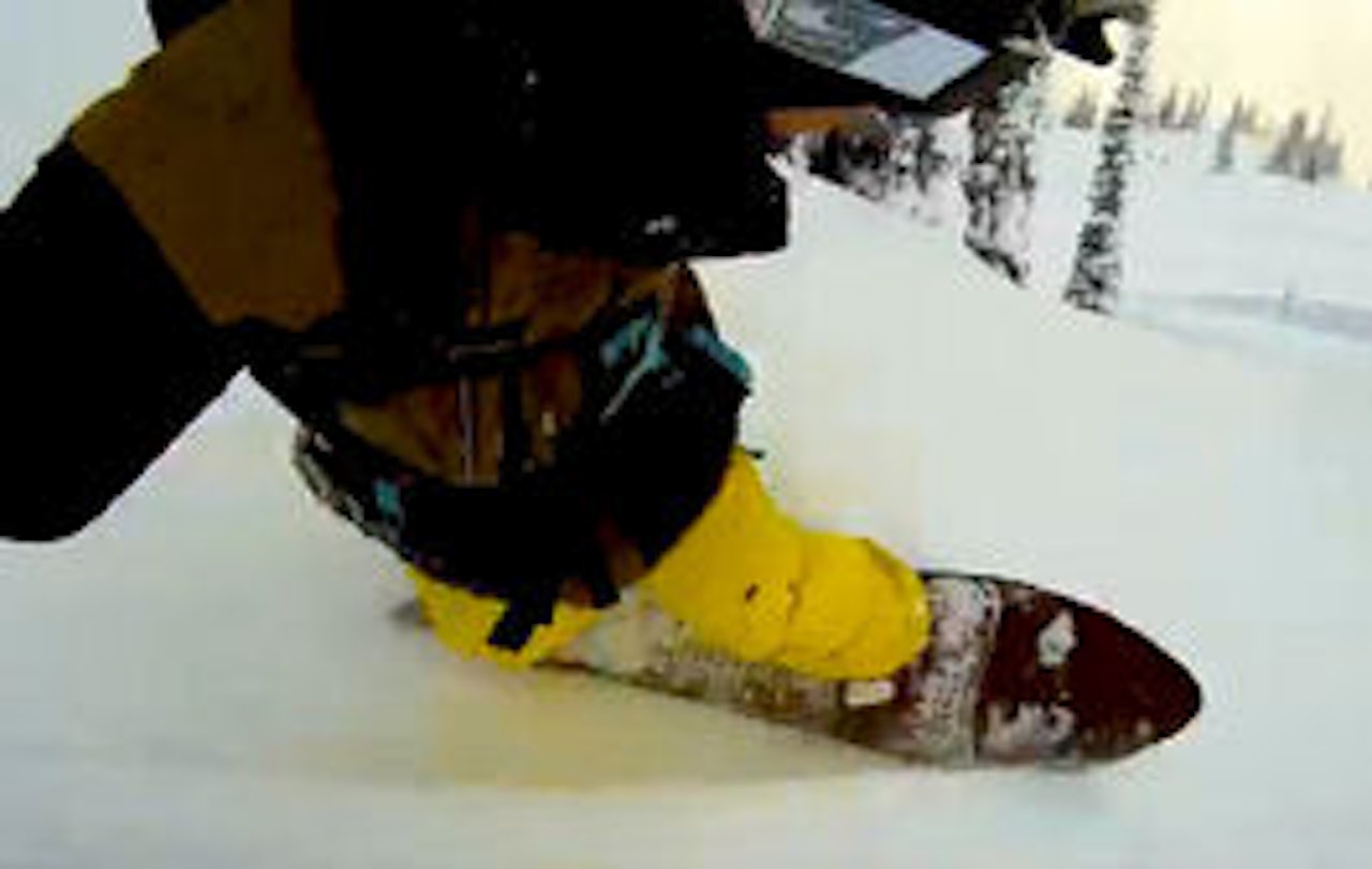 WHEN IN ROME...: Noboardet ble luftet i de kanadiske skoger. WHEN IN ROME...: Noboardet ble luftet i de kanadiske skoger.