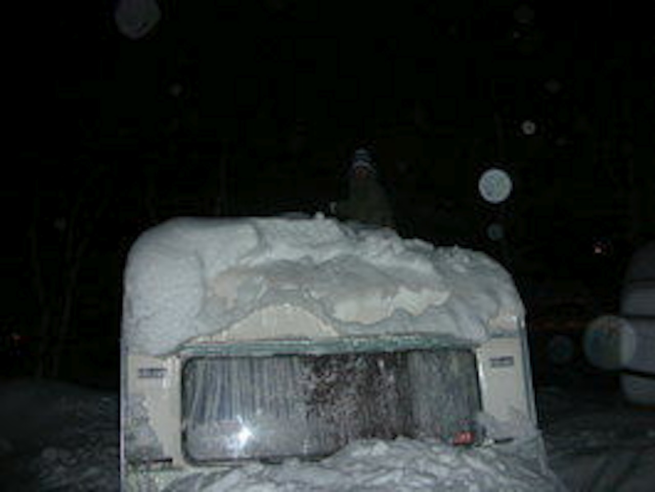 KALDT NOK: Snøen trengs som isolasjon mot kulda for Petter & Mikael. KALDT NOK: Snøen trengs som isolasjon mot kulda for Petter & Mikael.