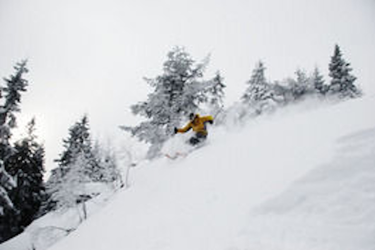 LOGGFØRER: Fredrik Luytkis kan nå holde oversikt over sine puddermeter i Varing. Bilde: C. Nerdrum LOGGFØRER: Fredrik Luytkis kan nå holde oversikt over sine puddermeter i Varing. Bilde: C. Nerdrum