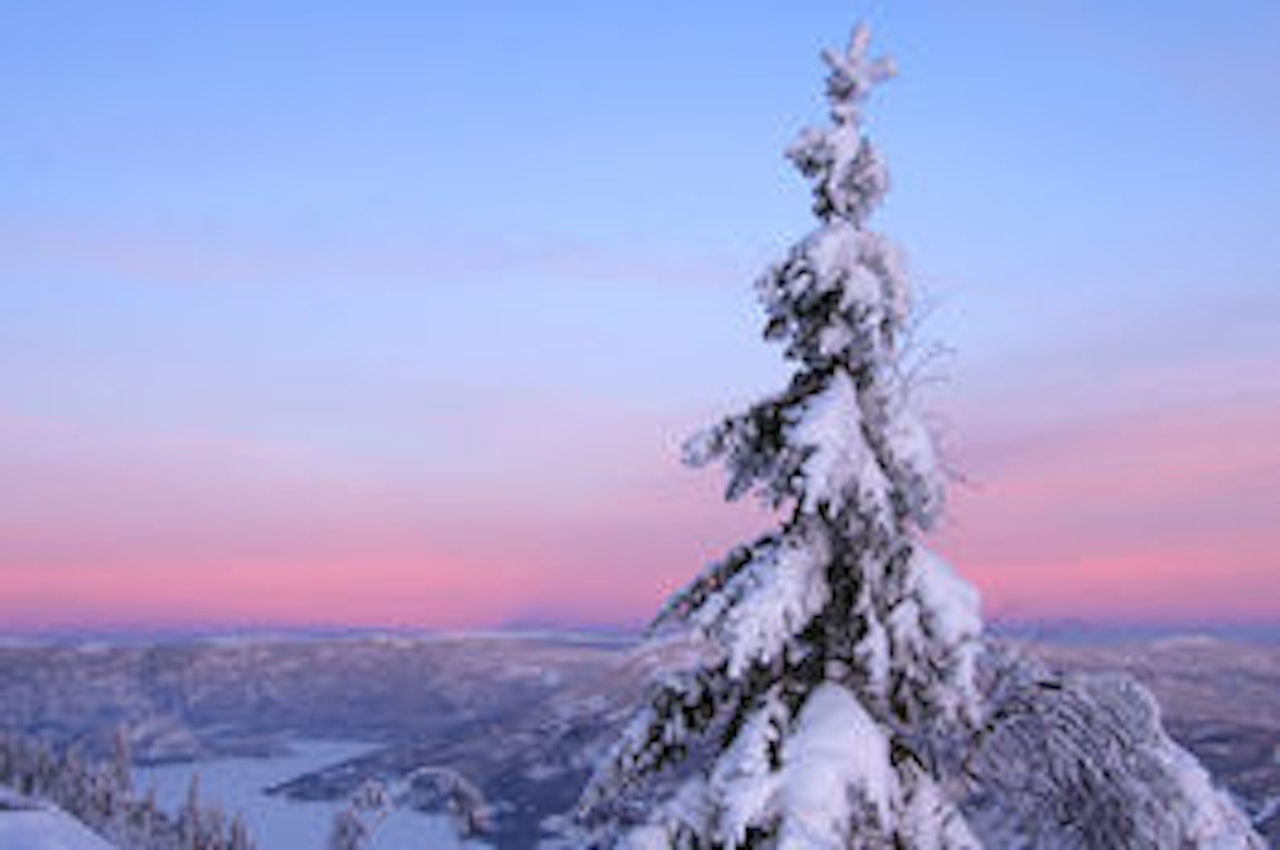 GOD JUL: Vi ønsker alle våre lesere en riktig god jul. GOD JUL: Vi ønsker alle våre lesere en riktig god jul.