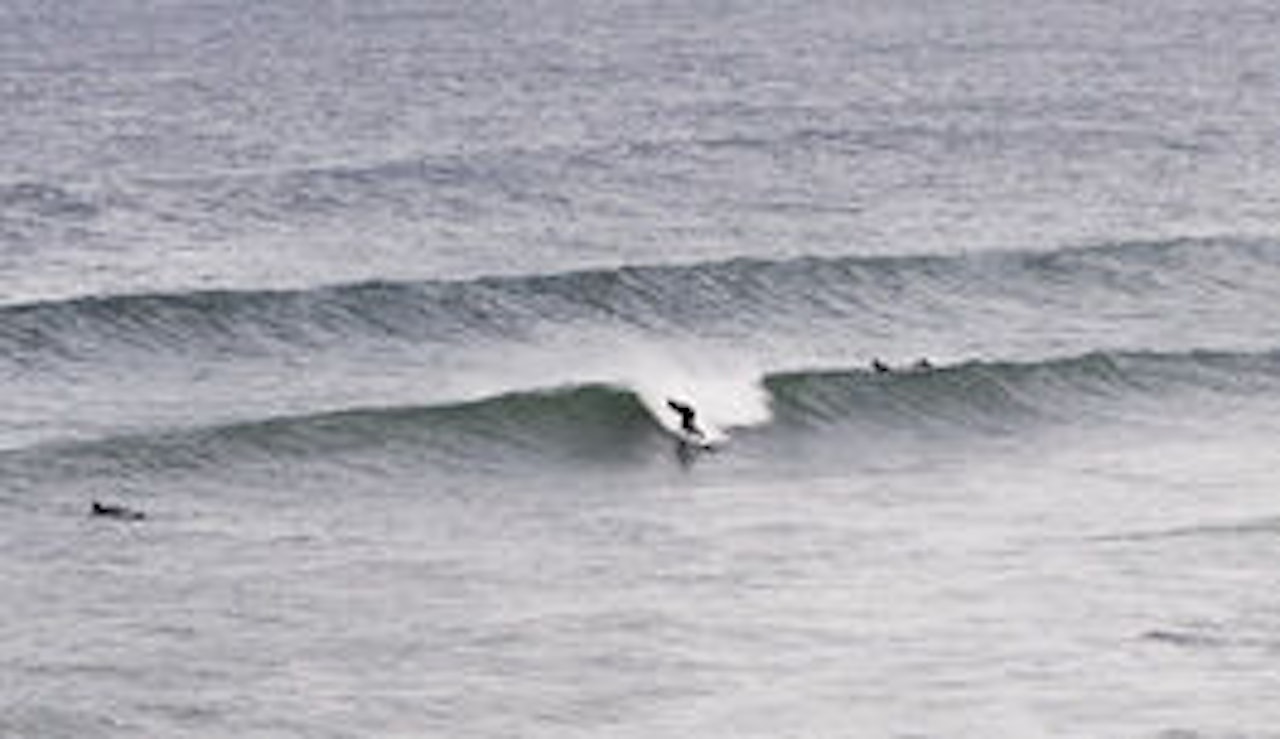 ARENA UKJENT: Oppmøte er Bore, men forholdene bestemmer. Reve-foto: Christian Nerdrum ARENA UKJENT: Oppmøte er Bore, men forholdene bestemmer. Reve-foto: Christian Nerdrum