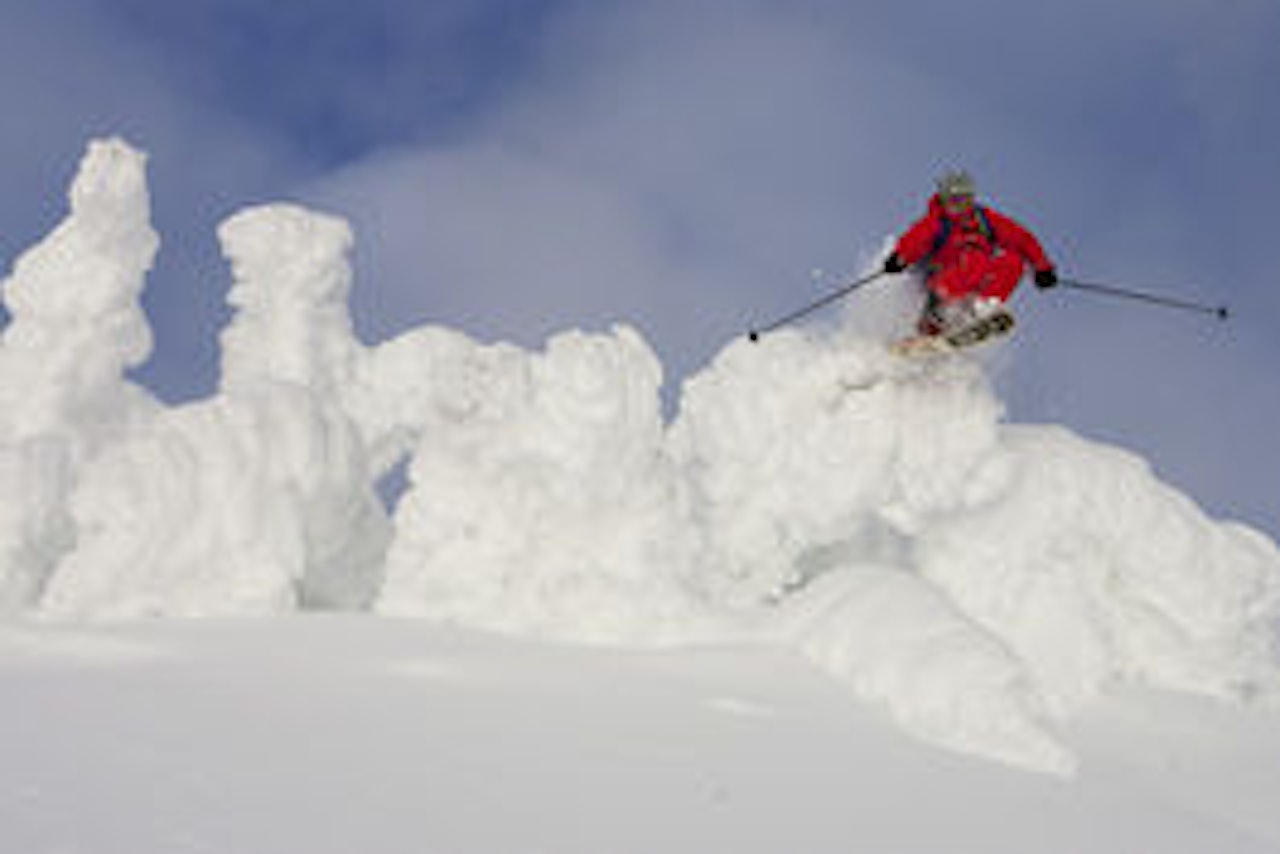 BLOMKÅLPUDDER: Torkel Karoliussen nyter kanadisk desemberpudder. Foto: Mikael Pilstrand revelstoke skikjøring