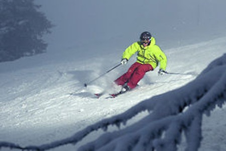 PISTÅKARE: Patrick på ski for medelgoda piståkare. Foto: DanielRonnback.com