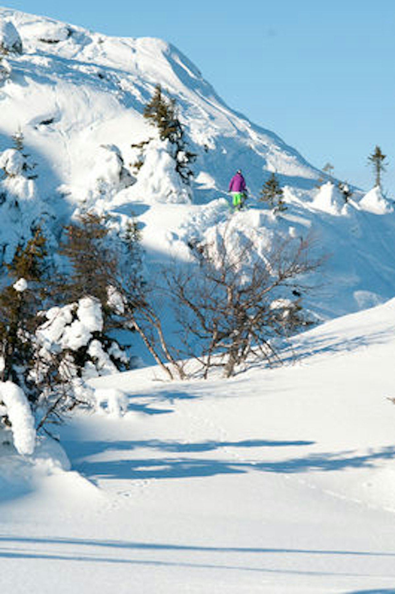 Daniel Josefsen leter etter mer fart til bc-kickern i Nesbyen. Bilde: Peter Gløersen Daniel Josefsen leter etter mer fart til bc-kickern i Nesbyen. Bilde: Peter Gløersen