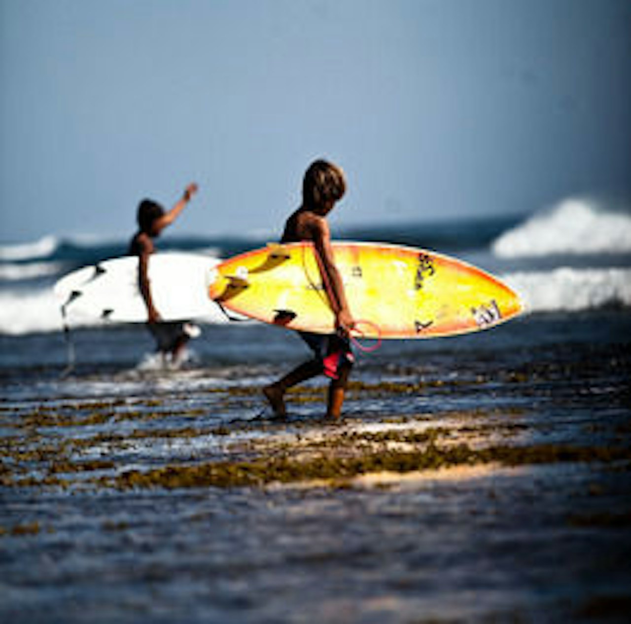 HJELP: Surfersaid har satt i gang arbeid for å hjelpe lokalbefolkingen. Arkivbilde: C. Nerdrum HJELP: Surfersaid har satt i gang arbeid for å hjelpe lokalbefolkingen. Arkivbilde: C. Nerdrum