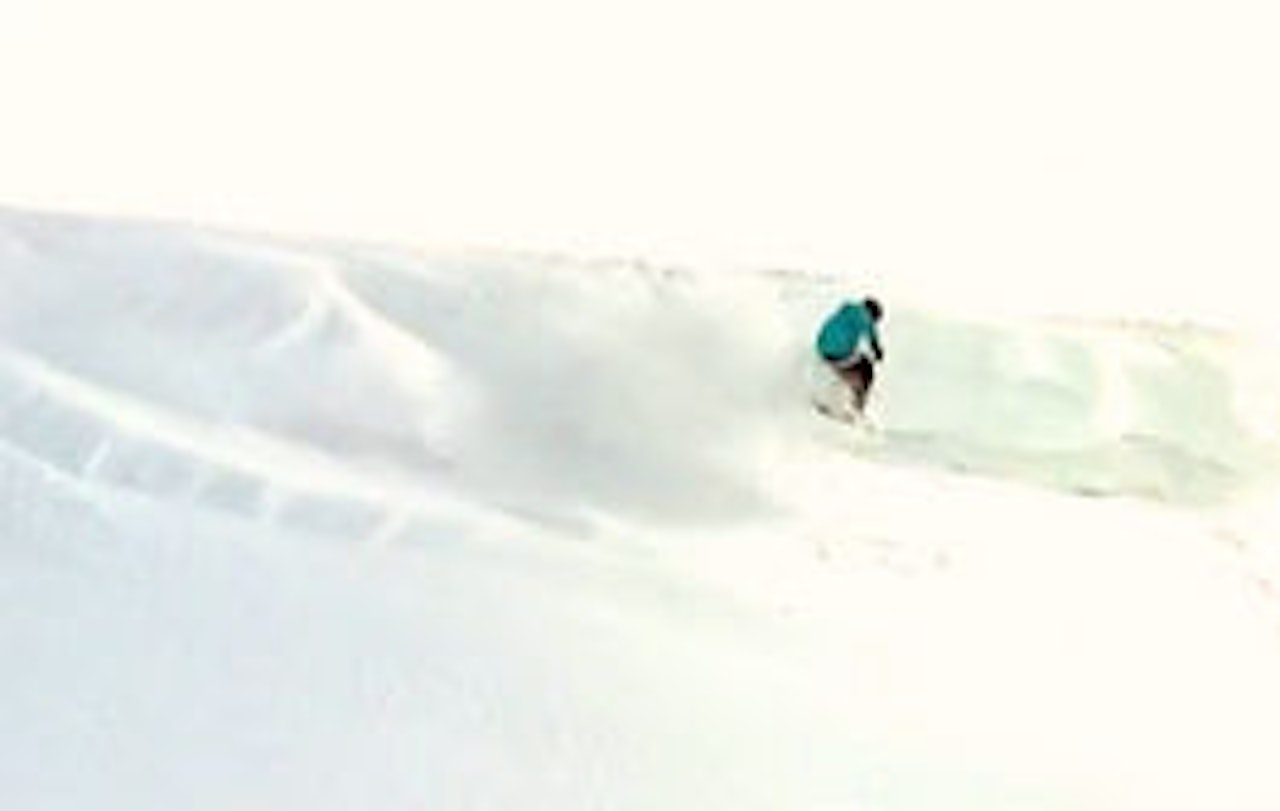 JIBB: Det er mest park og rail, men også noe frikjøring. JIBB: Det er mest park og rail, men også noe frikjøring.