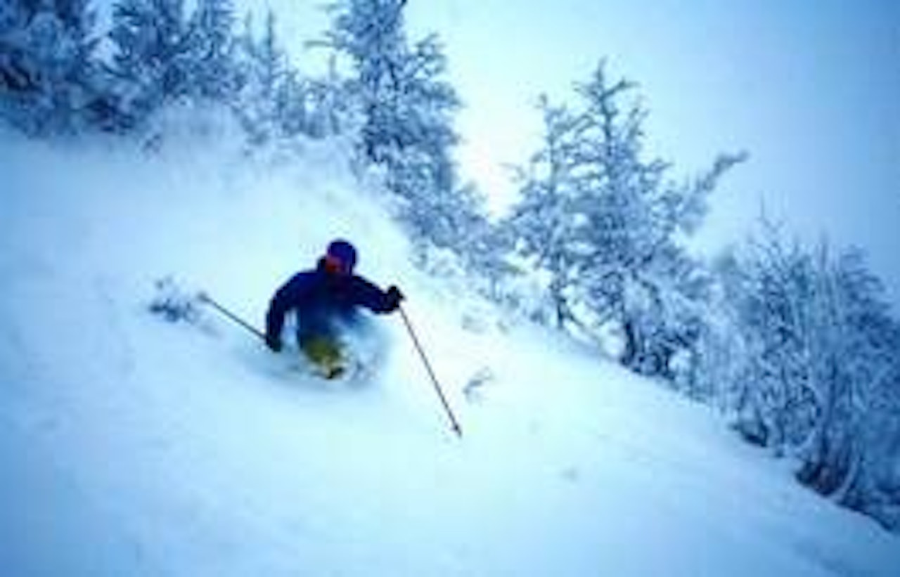 Foto: Magnus Lajord Foto: Magnus Lajord