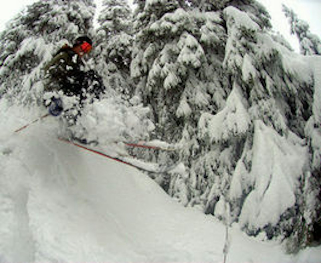 KVITESTE: Kvitfjell har knallforhold for tida, se filmen i Sniktitt-artikkelen. Foto: Øyvind Waitz KVITESTE: Kvitfjell har knallforhold for tida, se filmen i Sniktitt-artikkelen. Foto: Øyvind Waitz