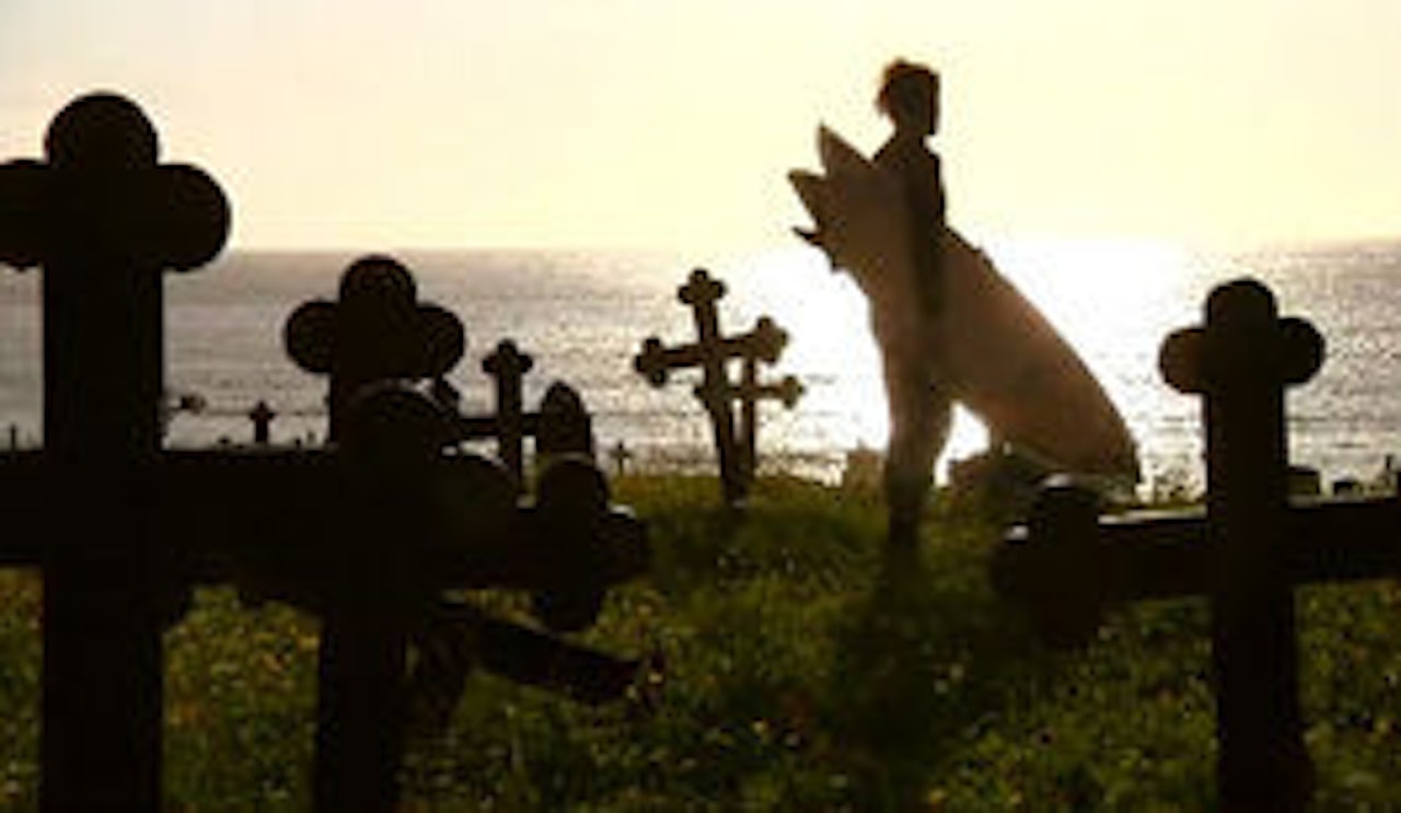 ERVIKA: Sakral surf på Stad. Foto: Screenshot ERVIKA: Sakral surf på Stad. Foto: Screenshot