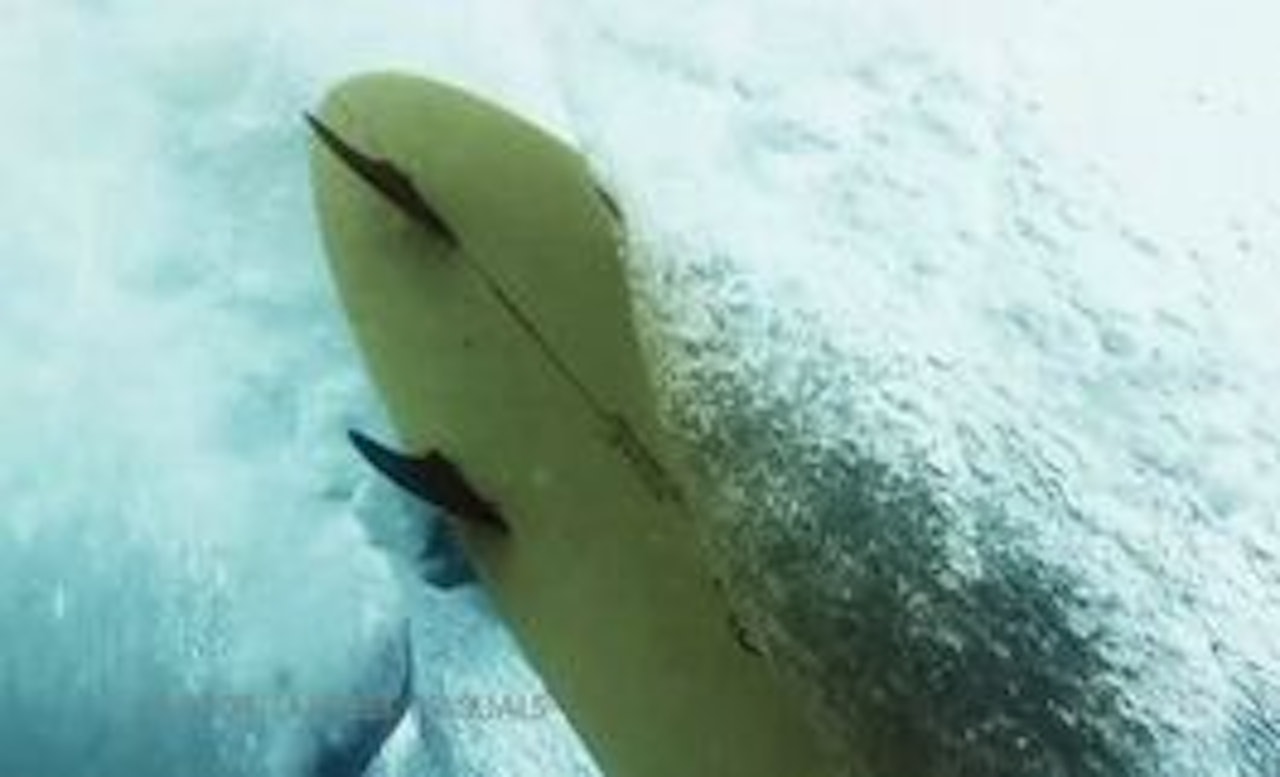 KUNST: Fotograf Vincent Laforet lager surfefilm med Jamie O´Brien. KUNST: Fotograf Vincent Laforet lager surfefilm med Jamie O´Brien.