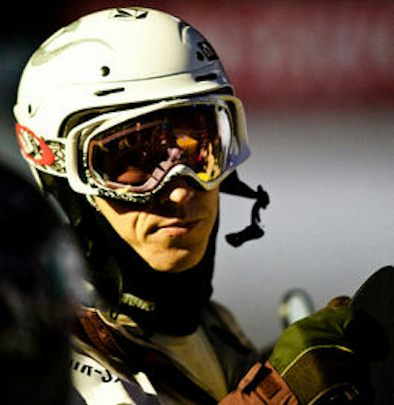 PITBULLTERJE: Tvisten om bildet fra TAC taes til Høyesterett. Bilde: Christian Nerdrum PITBULLTERJE: Tvisten om bildet fra TAC taes til Høyesterett. Bilde: Christian Nerdrum