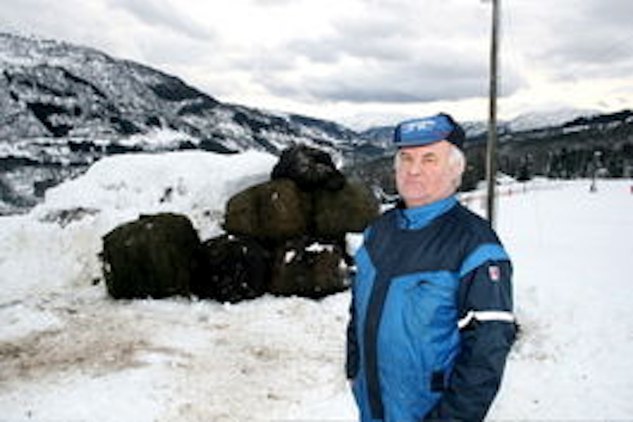 Hestebonden Olav Liheim har levert de 80 rundballene til Fjellsportfestivalens storhopp. Hestebonden Olav Liheim har levert de 80 rundballene til Fjellsportfestivalens storhopp.