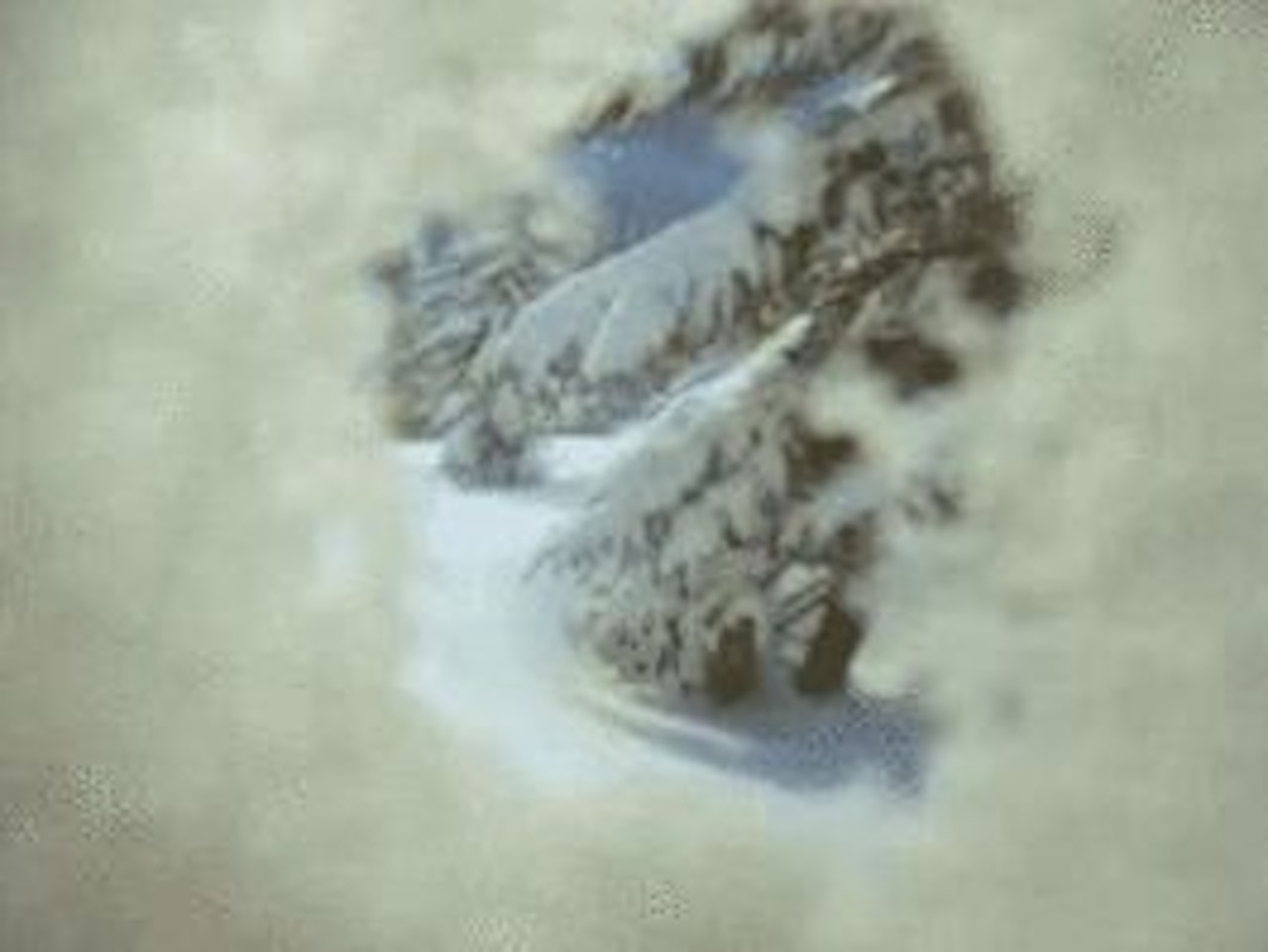 Webisode 1 av skifilmen Hunting Yeti får verdenspremiere her på friflyt.no i dag! Webisode 1 av skifilmen Hunting Yeti får verdenspremiere her på friflyt.no i dag!