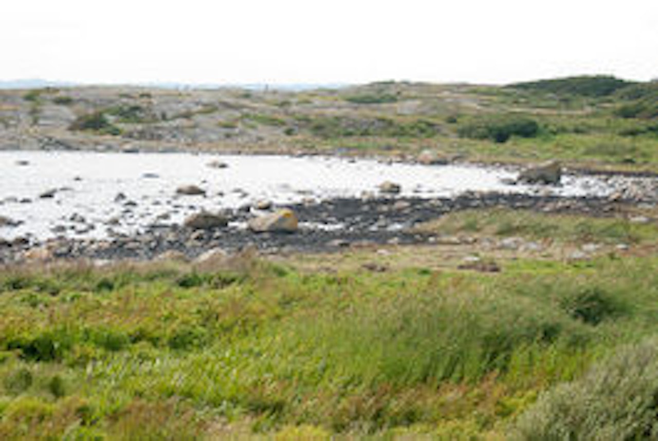 Saltstein er fortsatt preget av olje. Foto: Peter Gløersen Saltstein er fortsatt preget av olje. Foto: Peter Gløersen